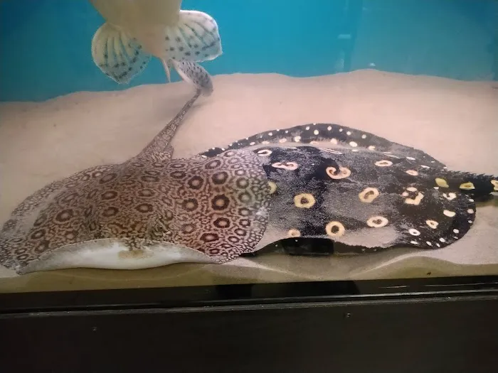 myPET | Pet & Aquatic Supplies Picture 7