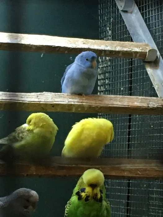 myPET | Pet & Aquatic Supplies Picture 10