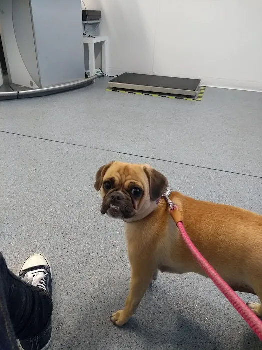 Rase Veterinary Centre - Dunscroft Picture 3
