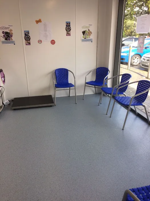 Rase Veterinary Centre - Dunscroft Picture 6