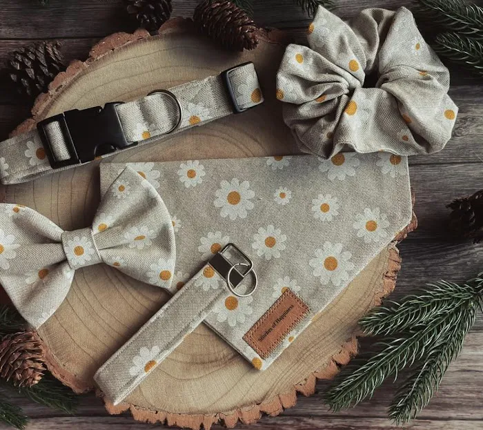 Maggie May’s Pet Boutique Picture 5