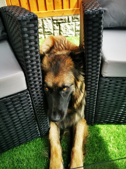 Old Registry Vets Picture 7