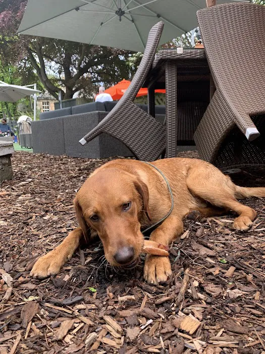 The Deli Dog box Company Picture 1