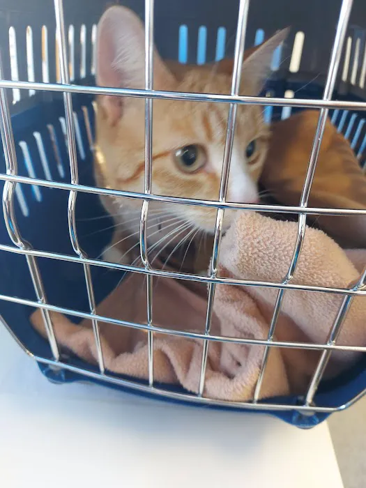 Medivet Ashby Picture 5