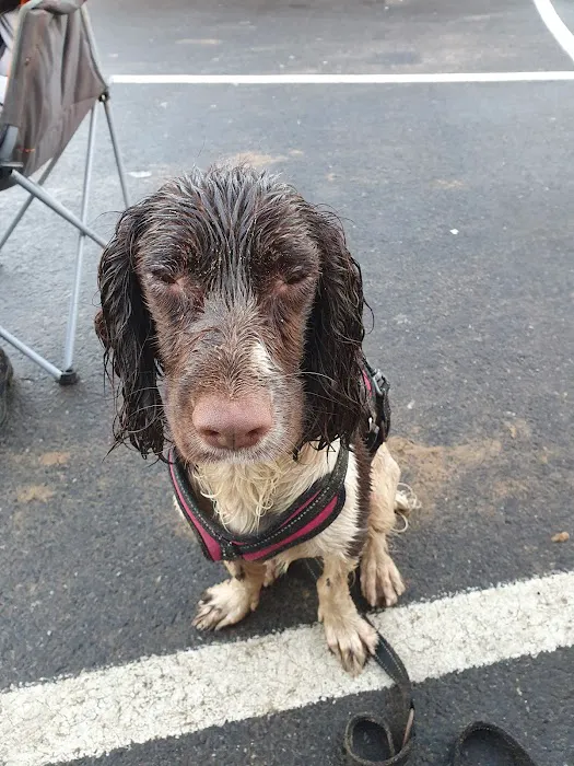 Medivet Ashby Picture 7