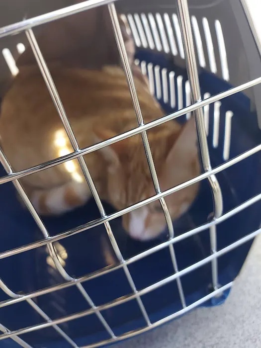 Medivet Ashby Picture 10