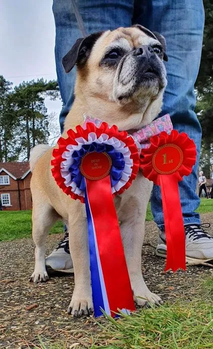 Medivet Ashby Picture 9