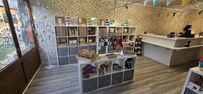 Funky Paws Co Picture 1