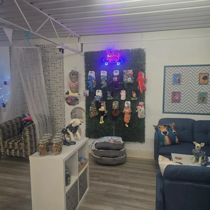 Funky Paws Co Picture 4