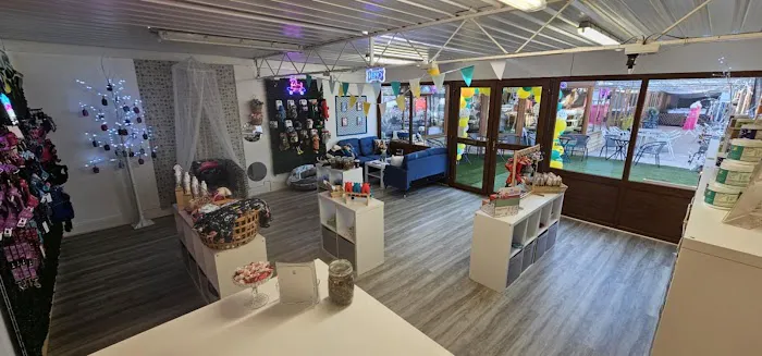 Funky Paws Co Picture 9