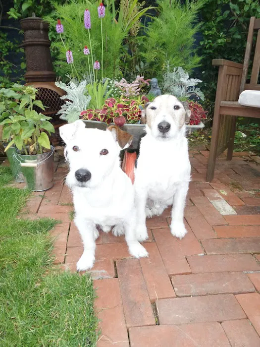 Ashcroft Veterinary Surgery Picture 5