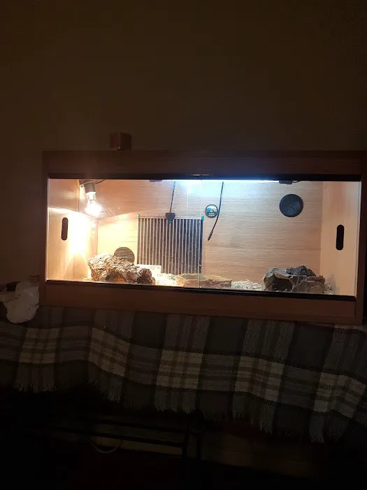 Betsy's Exotics & pet supplies Picture 3