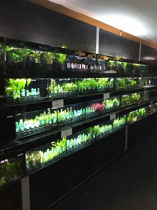 South Yorkshire Aquatics Picture 1