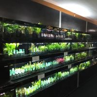 South Yorkshire Aquatics ico