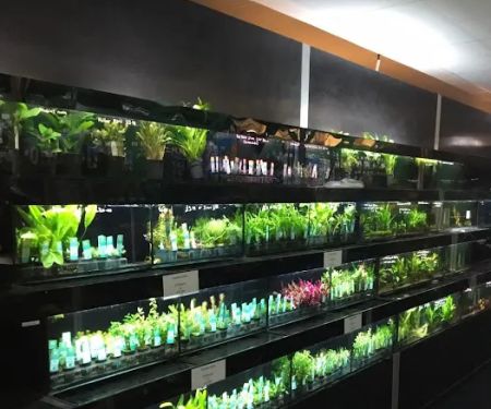 South Yorkshire Aquatics