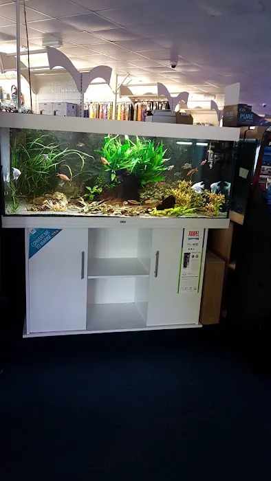 South Yorkshire Aquatics Picture 4