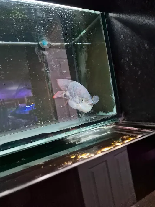 South Yorkshire Aquatics Picture 6