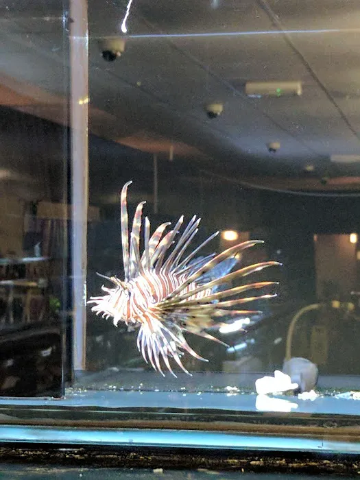 South Yorkshire Aquatics Picture 3