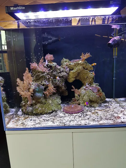 South Yorkshire Aquatics Picture 9