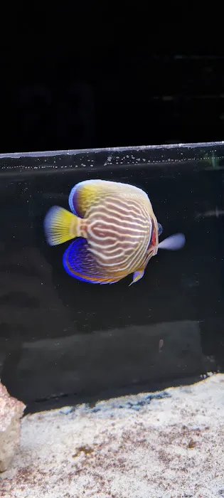 South Yorkshire Aquatics Picture 8