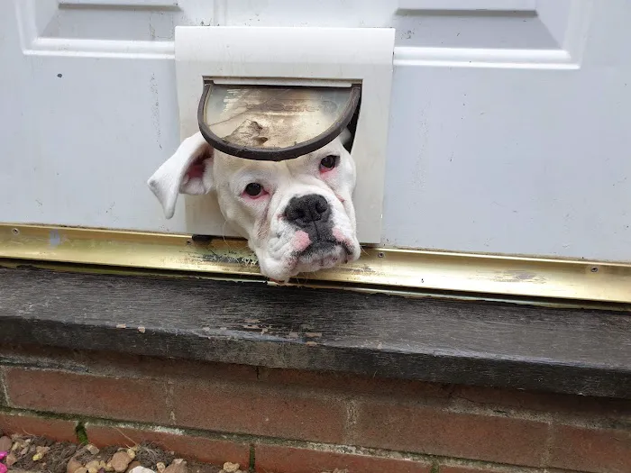 Pets at Home Scunthorpe Picture 4