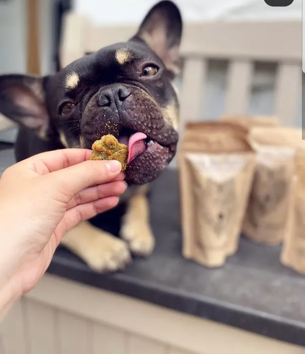 The Barkery Picture 2