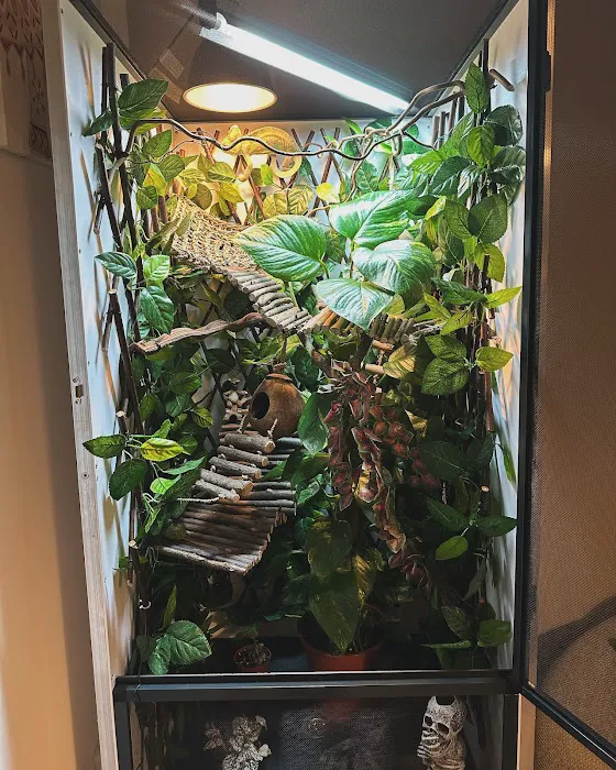 Jungle Jim's Vivariums Ltd Picture 1