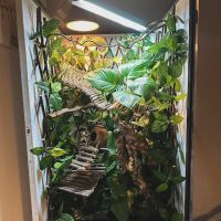 Jungle Jim's Vivariums Ltd ico