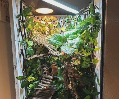 Jungle Jim's Vivariums Ltd