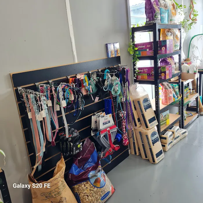 Jungle Jim's Vivariums Ltd Picture 2