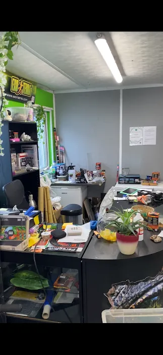 Jungle Jim's Vivariums Ltd Picture 7