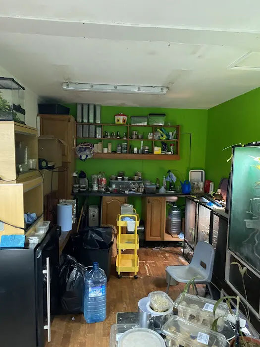 Jungle Jim's Vivariums Ltd Picture 6