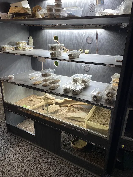 Jungle Jim's Vivariums Ltd Picture 5