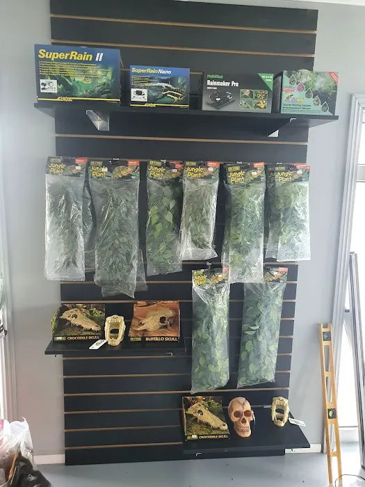 Jungle Jim's Vivariums Ltd Picture 8