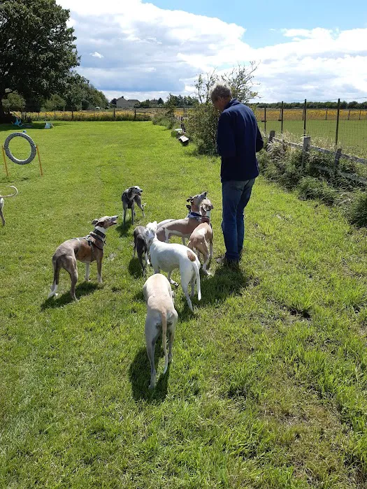 Greenfield Pet Shop Picture 3