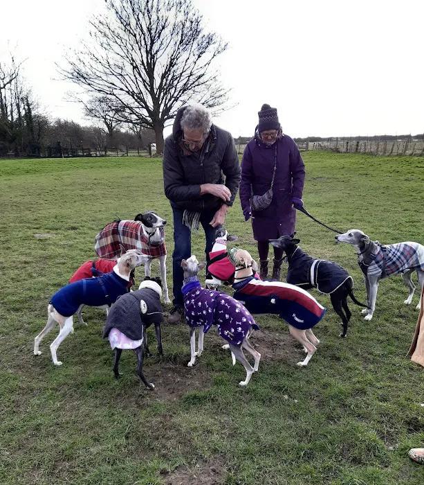 Greenfield Pet Shop Picture 2