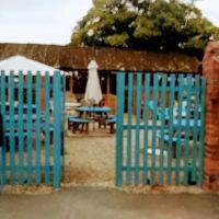 Greenfield Pet Shop ico