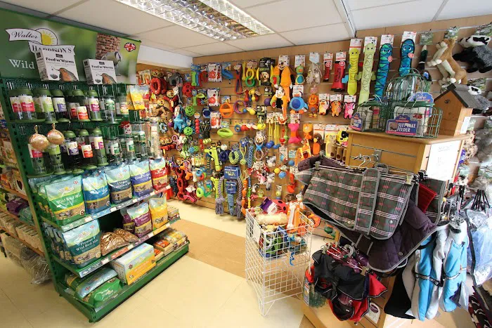 The Pet Shop Picture 4