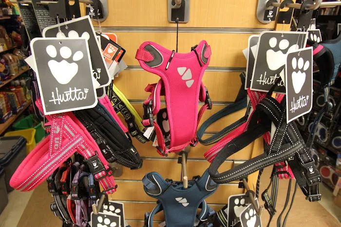 The Pet Shop Picture 5