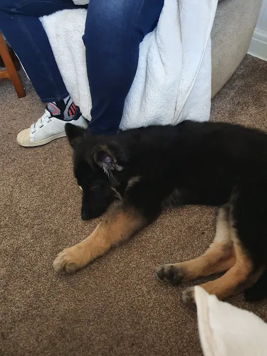 The Pet Shop Picture 9