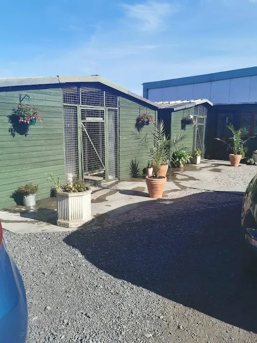 Moss Farm Cattery Picture 6