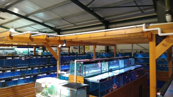 Maidenhead Aquatics Brigg Picture 2