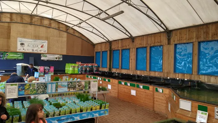 Maidenhead Aquatics Brigg Picture 4