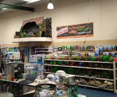 Maidenhead Aquatics Brigg