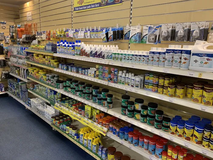 Maidenhead Aquatics Brigg Picture 8