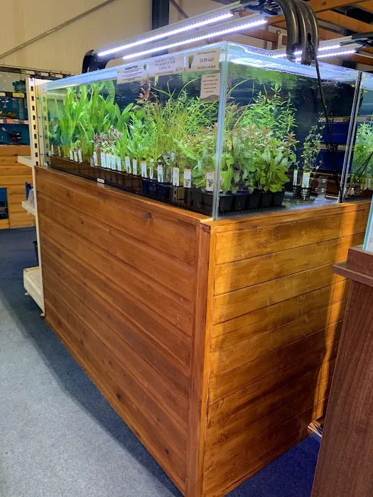 Maidenhead Aquatics Brigg Picture 9