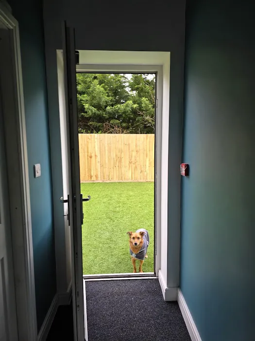 RISE Canine Hydrotherapy & Rehab Picture 4