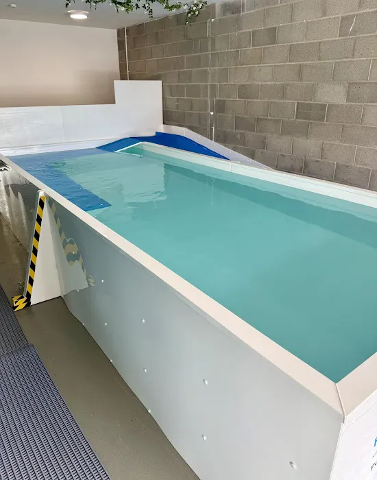 RISE Canine Hydrotherapy & Rehab Picture 10