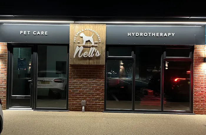 RISE Canine Hydrotherapy & Rehab Picture 9