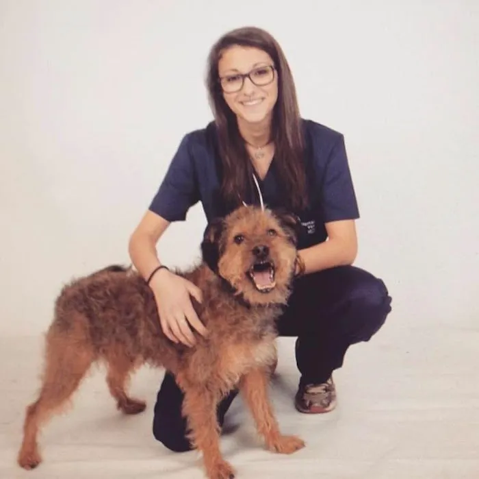 EuroPet Travel - Animal Health Certificates Picture 6